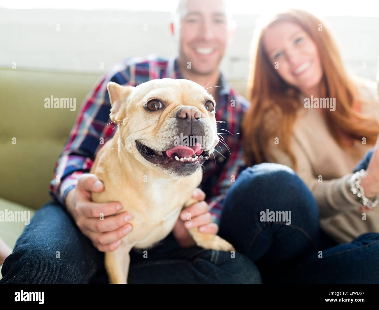 Couple avec pug sitting on sofa Banque D'Images