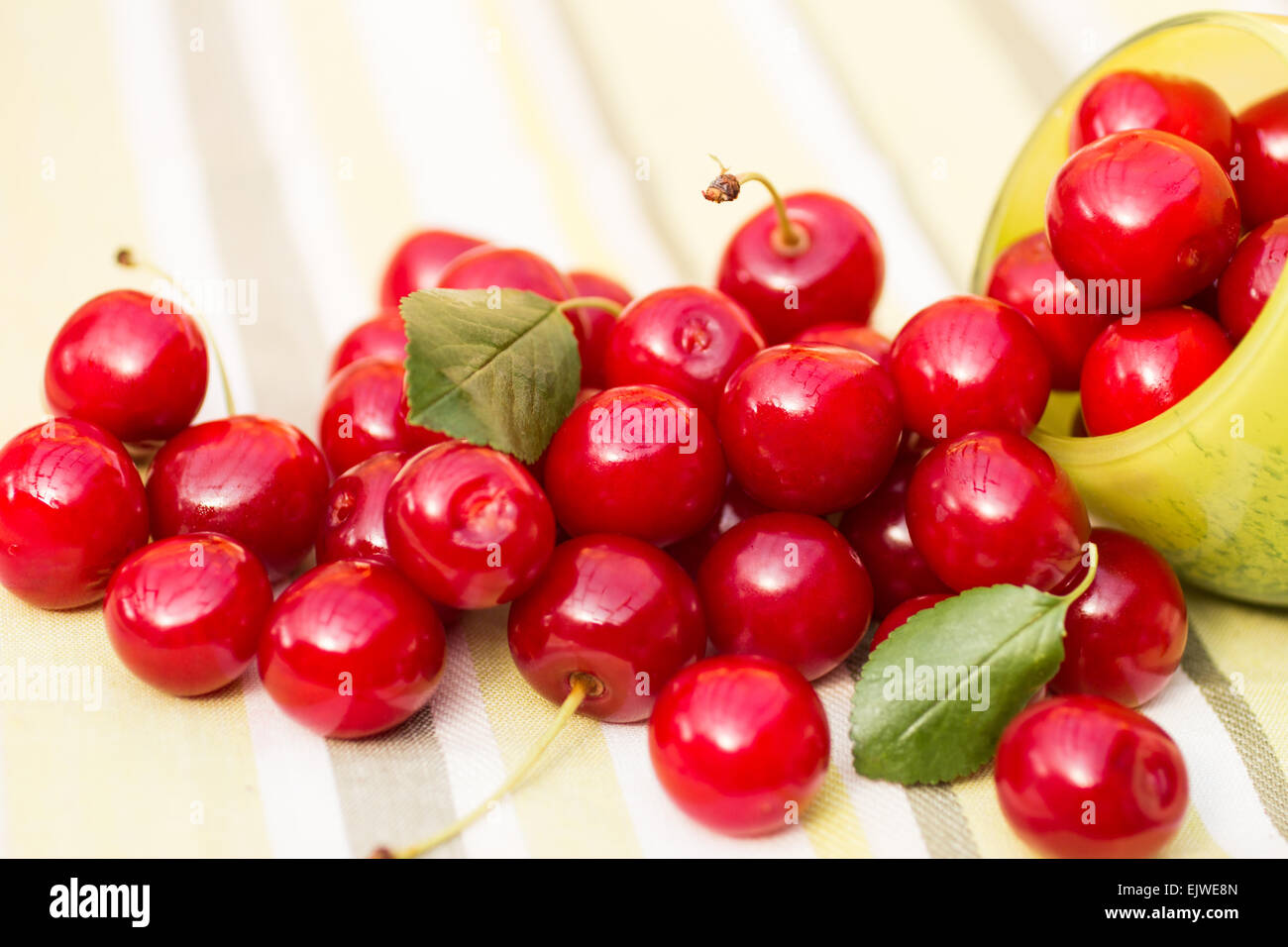 Cerises biologiques dans un bol Banque D'Images