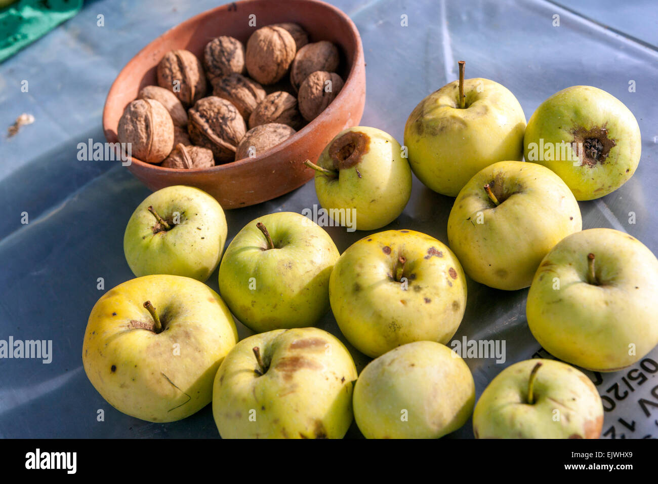 Les pommes tombées sur une table de jardin Banque D'Images