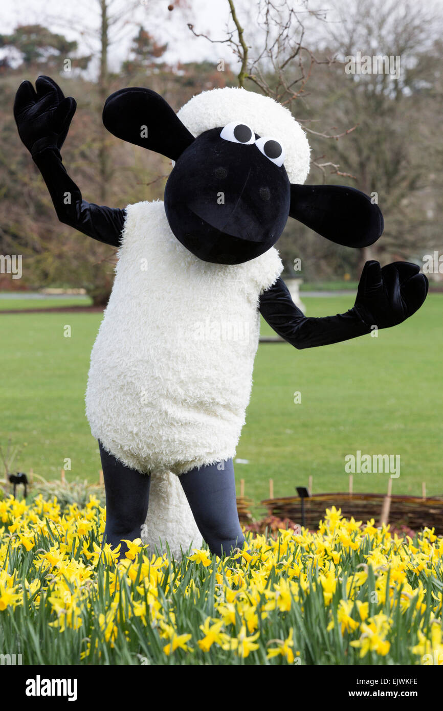 Shaun le mouton de jonquilles. Kew Gardens' 'Shaun Festival de Pâques les moutons' ouvre à Kew Gardens le 28 mars et s'exécute au 12 avril 2015. Banque D'Images