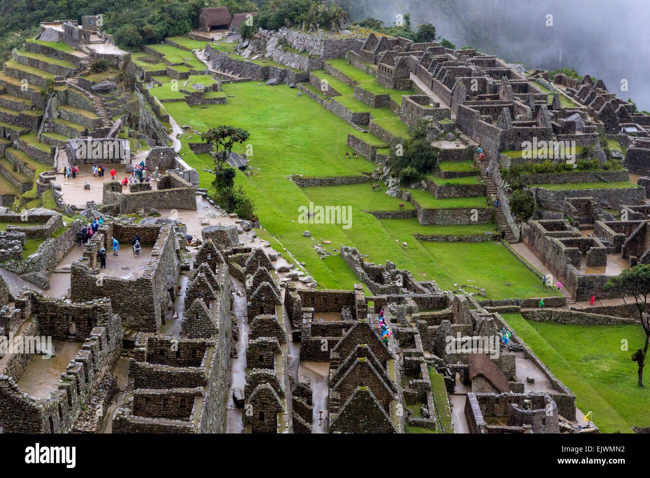 Au Pérou, le Machu Picchu. Secteur urbain de l'Ouest, avant-plan. Secteur urbain de l'Est, en haut à droite. L'Intiwatana haut à gauche. Banque D'Images
