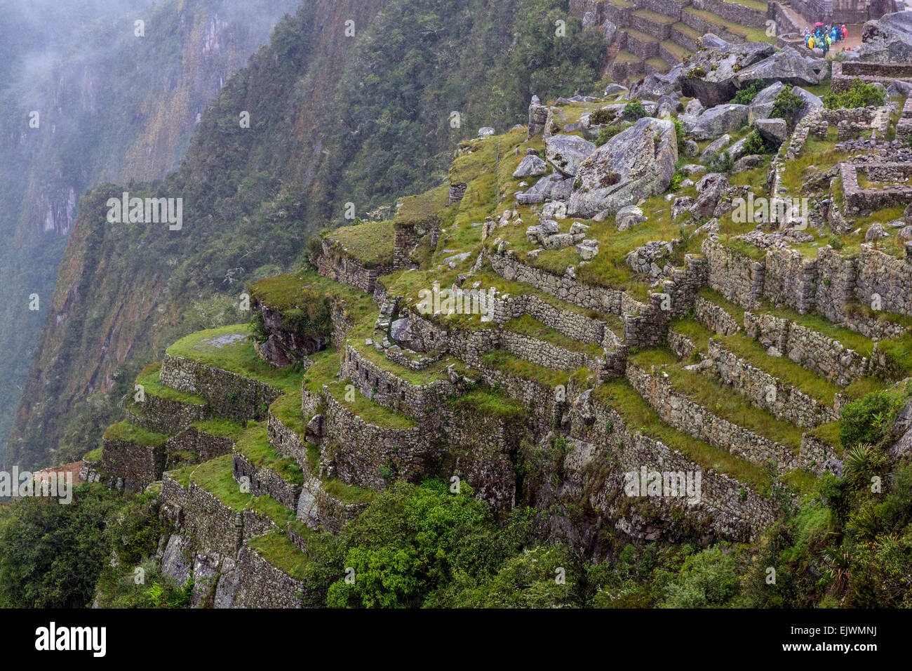 Au Pérou, le Machu Picchu. Carrière et de colline en terrasses Rock. Banque D'Images
