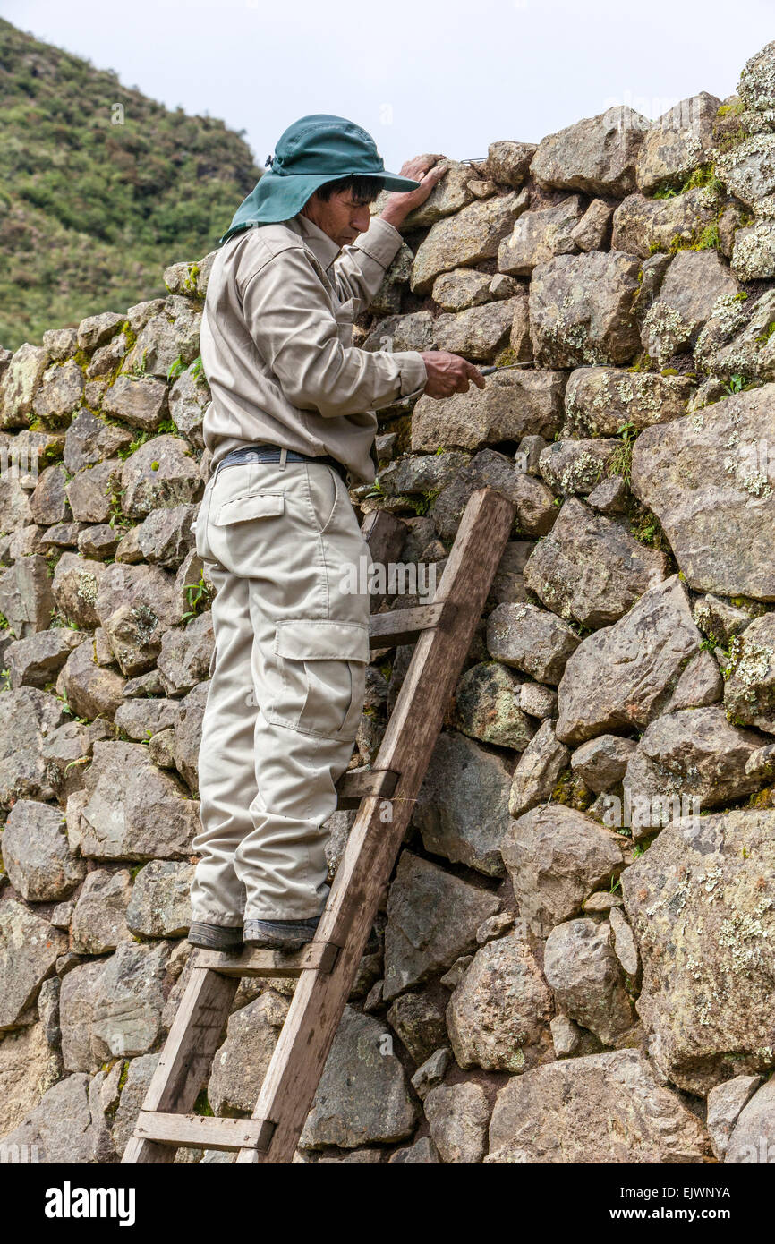 Au Pérou, le Machu Picchu. La préservation historique. Travailleur Quechua de retirer la mousse et les mauvaises herbes de crevasses de pierre. Banque D'Images
