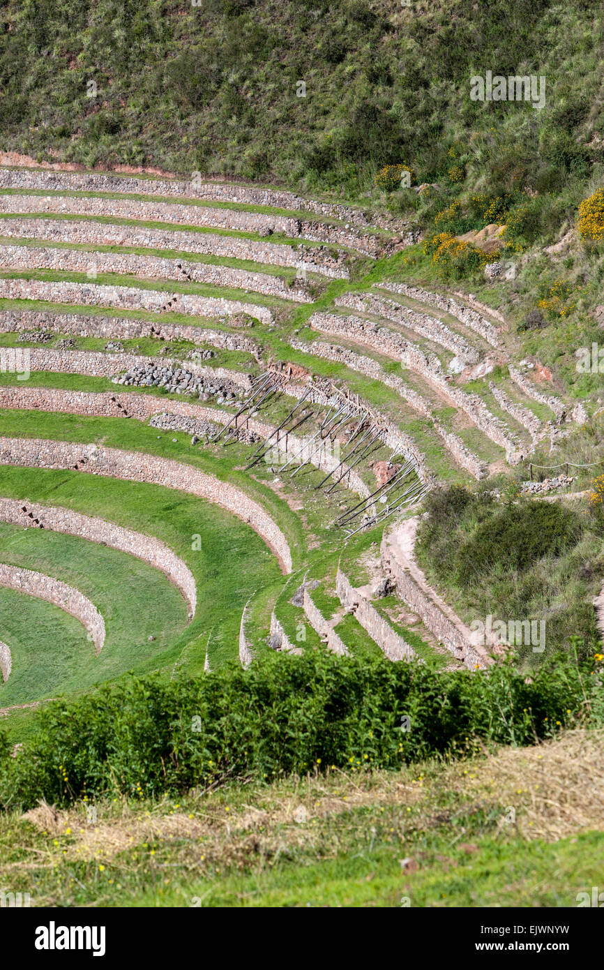 Pérou, Moray, vallée de l'Urubamba. Un site expérimental agricole Inca. Les fortes pluies de 2010 a causé de sérieux dommages. Attache en bois Banque D'Images