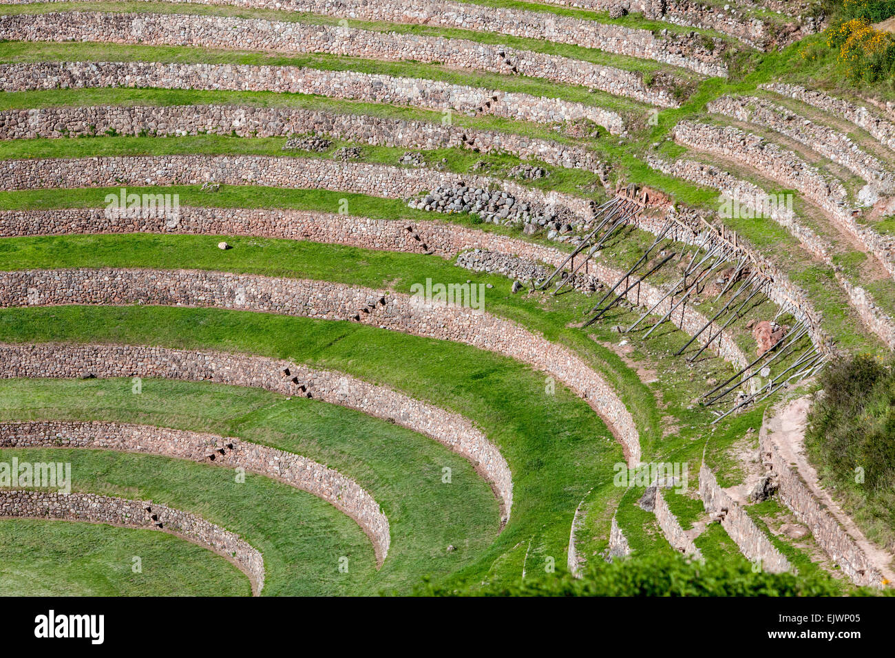 Pérou, Moray, vallée de l'Urubamba. Un site expérimental agricole Inca. Banque D'Images
