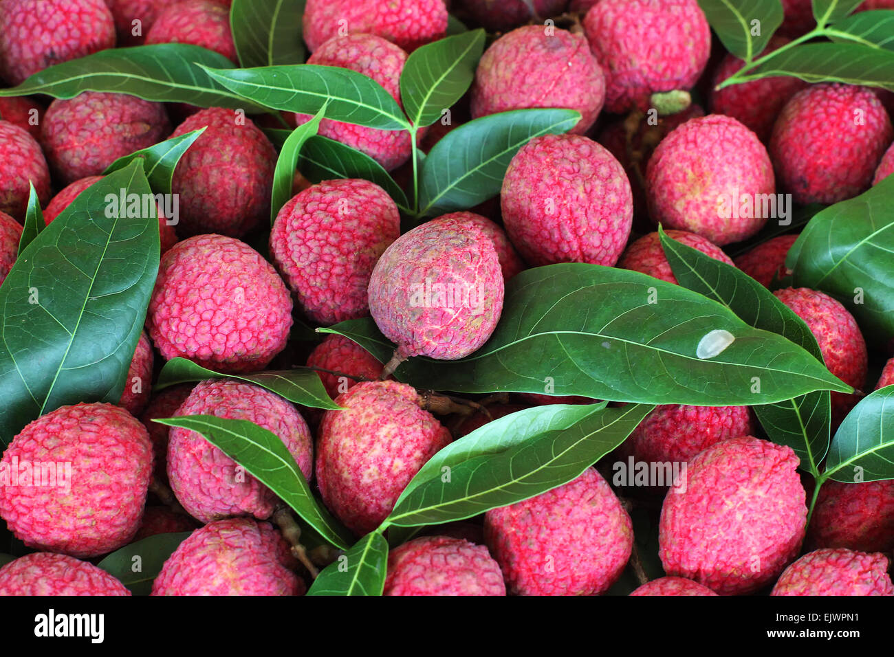 Lychee fruit à fruit market Banque D'Images