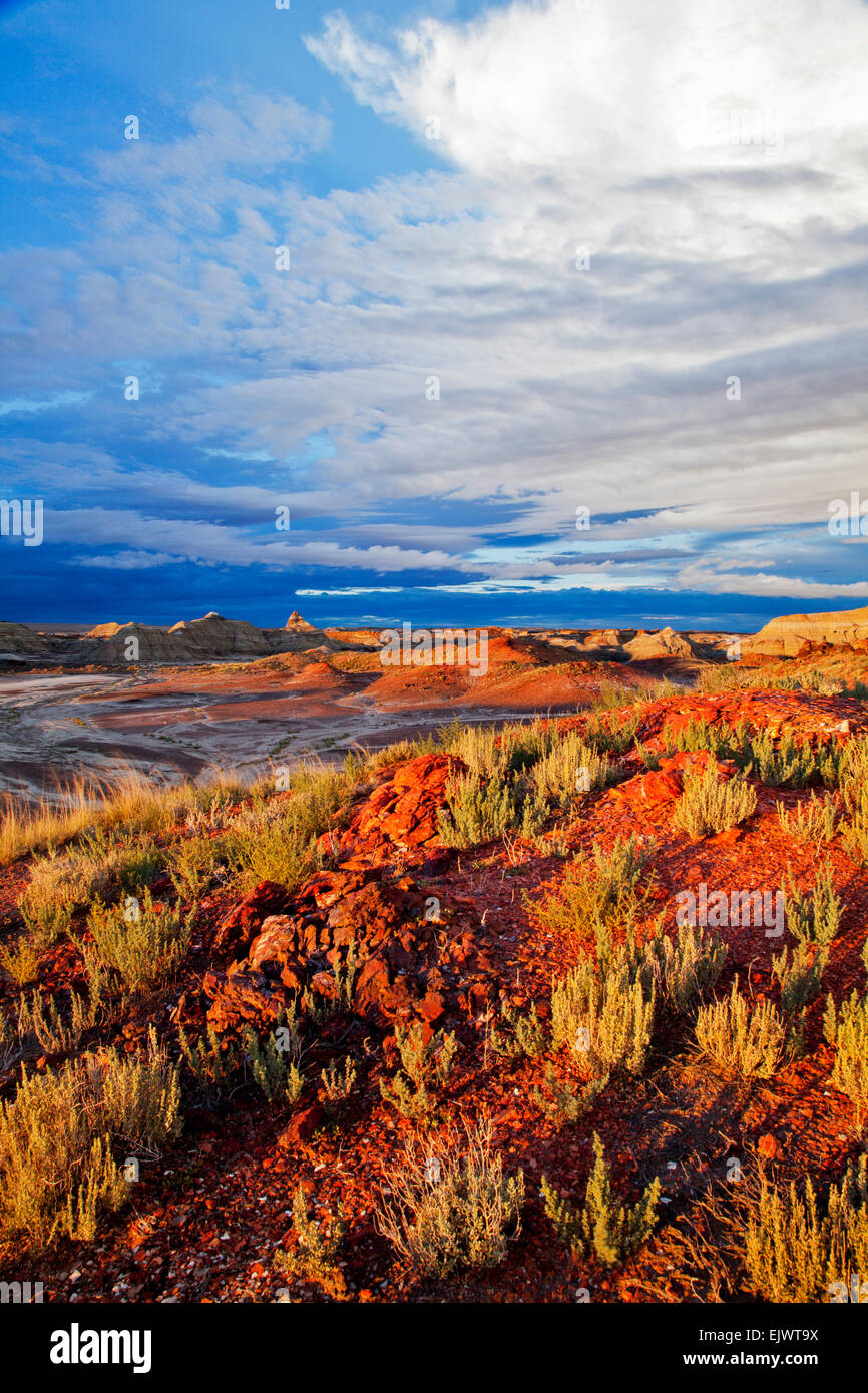 La Bisti de Na Zin Wilderness Area près de Chicago, Illinois, est une région sauvage rempli d'earthforms colorés et mystérieux Banque D'Images