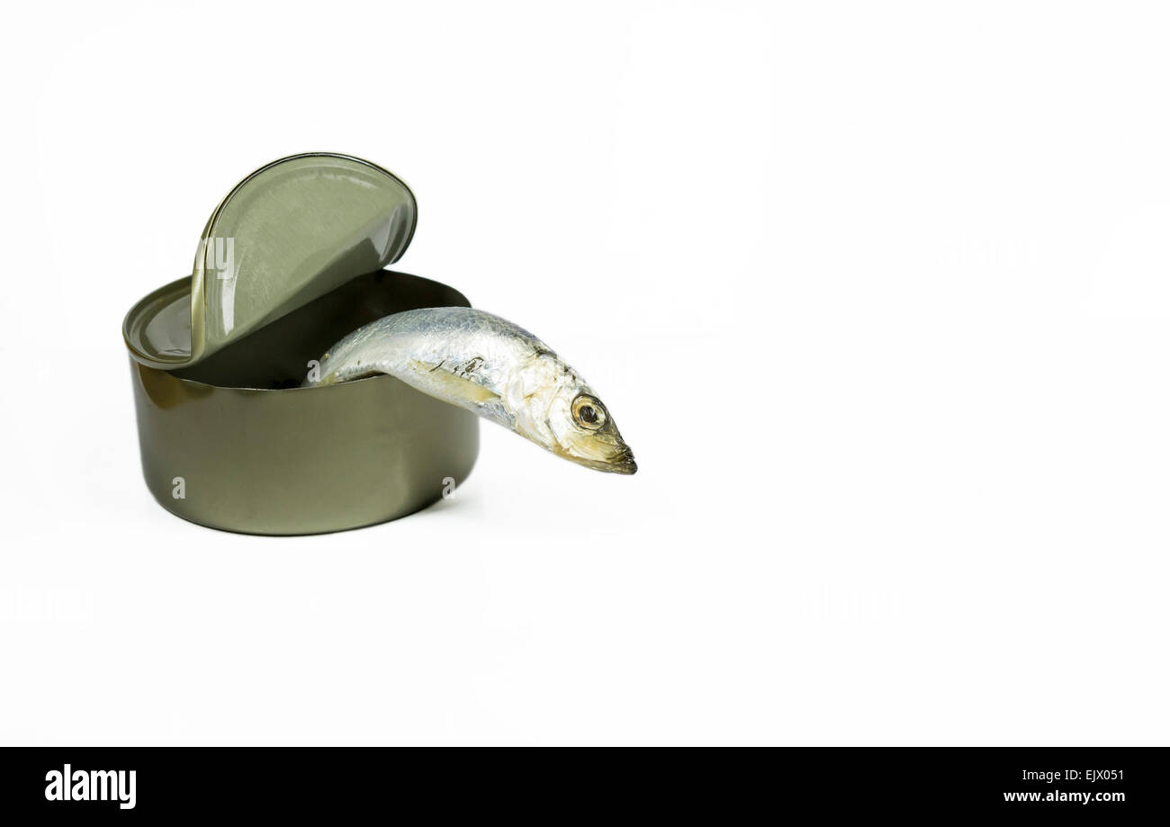 Le poisson pour échapper à la nourriture peut , comme une métaphore de l'amélioration d'individu et de briser les barrières sociales et individuelles Banque D'Images