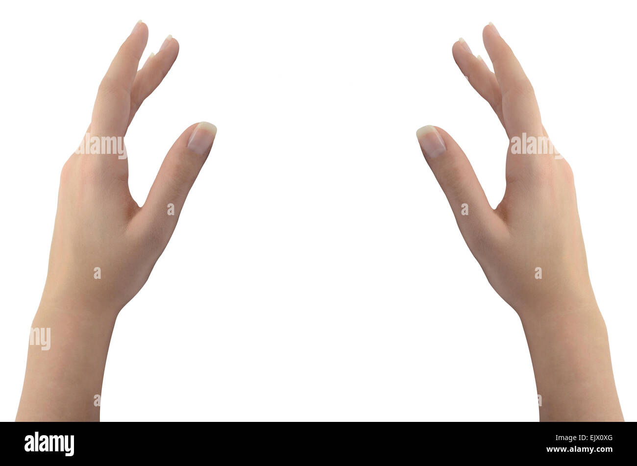 Woman's hands isolated on white Banque D'Images