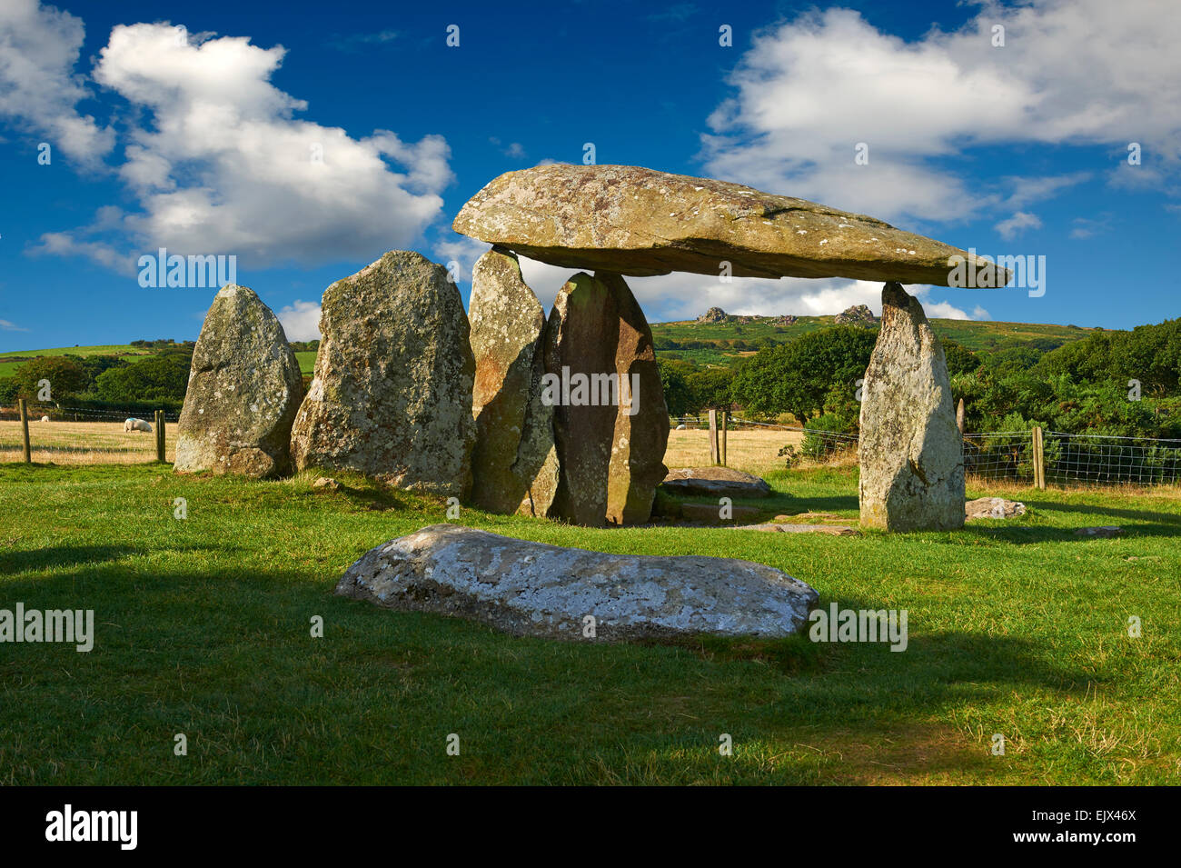 Pentre ifan, megalitic chambre funéraire néolithique pierre dolmen construit environ 3500 avant J.-C. dans la paroisse de nevern, Pembrokeshire, Pays de Galles Banque D'Images