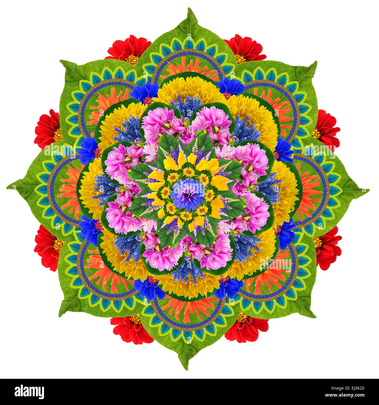Floral mandala - le Lotus Sacré- fait à partir de l'été Vive les fleurs et les plantes. Fait main isolé collage abstrait Banque D'Images