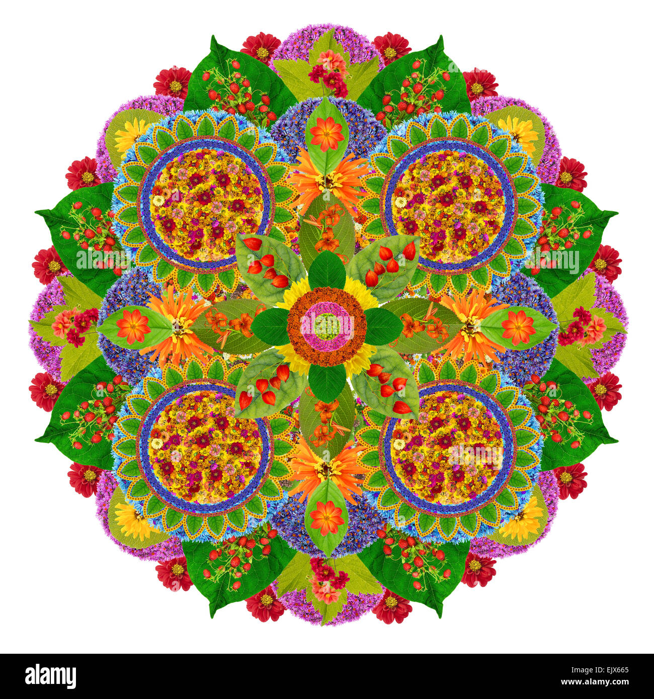 Meilleurs au monde floral Mandala à partir de plantes et de fleurs éclatantes. Collage abstrait isolé Banque D'Images