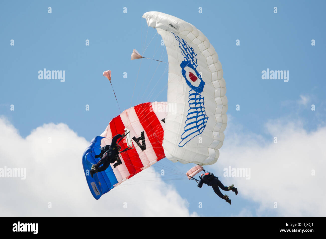 L'équipe de démonstration de parachutisme Falcons RAF, effectuant à l'affichage de l'Air 2014 RAFA Shoreham. Banque D'Images