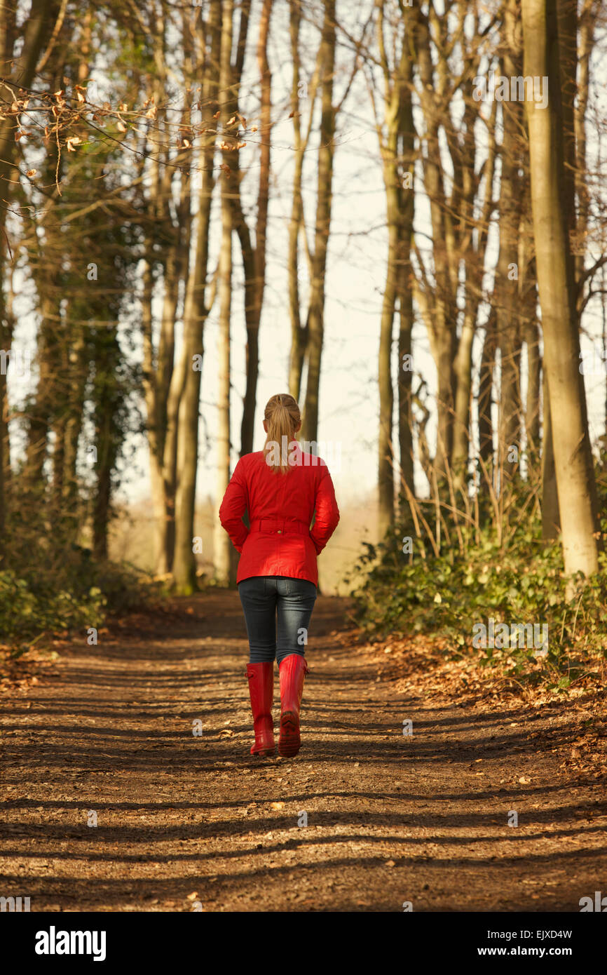 Vue arrière de Woman Walking in Forest Path Banque D'Images