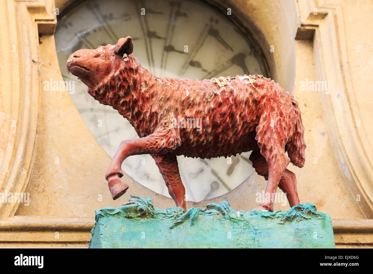 Agneau rouge. Prague, République tchèque. Banque D'Images