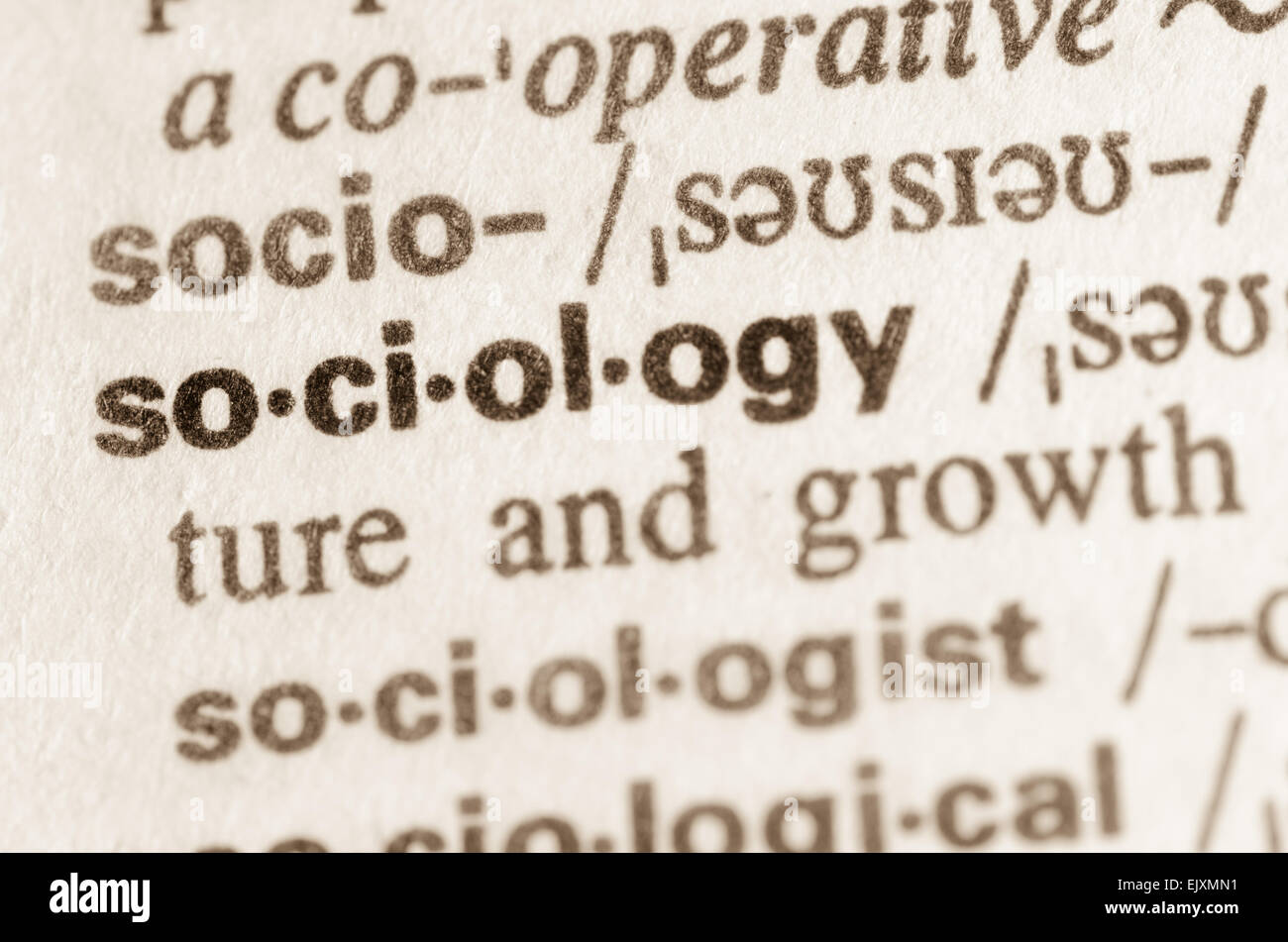 Définition du mot sociologie dans le dictionnaire Banque D'Images