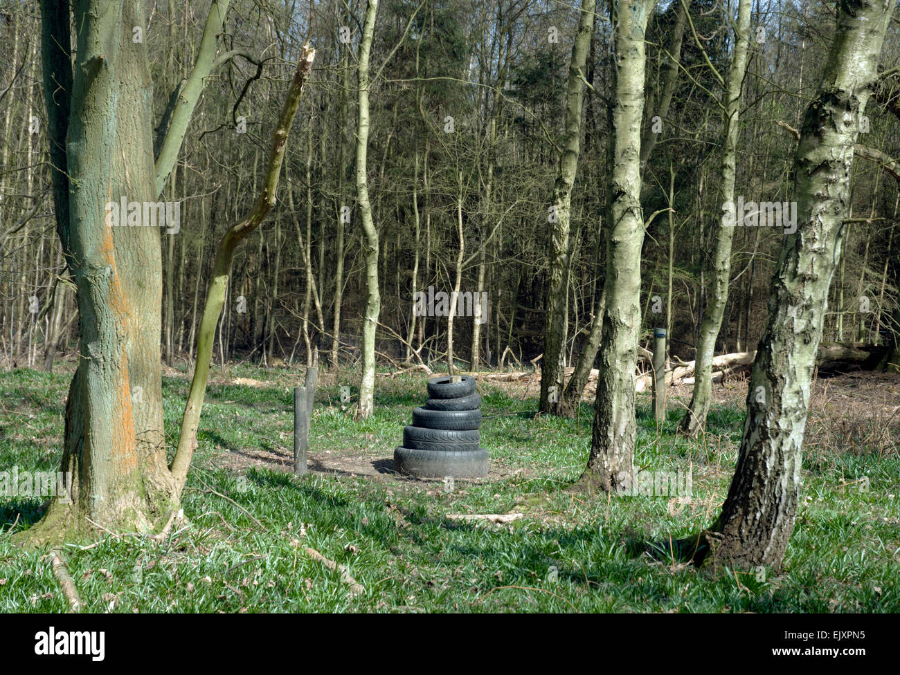 Une sculpture de pneu dans un bois Banque D'Images