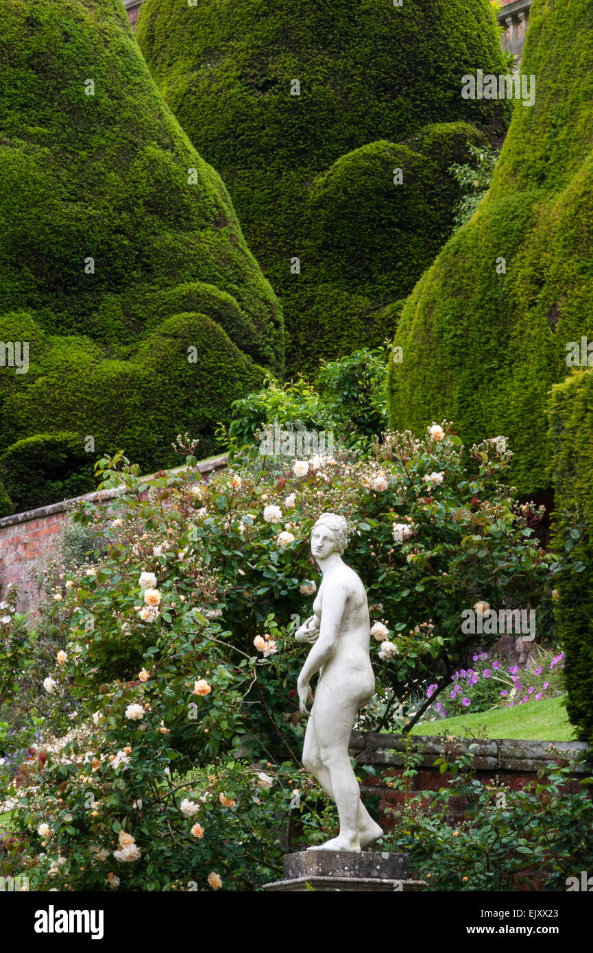 Jardins du Château de Powis, Welshpool, Pays de Galles, Royaume-Uni. Cette 17c jardin baroque est célèbre pour ses énormes topiaires antique des ifs et des haies Banque D'Images