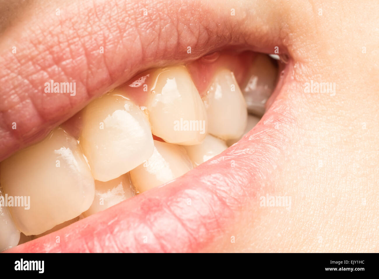 Les lèvres et les dents naturelles femme Macro Banque D'Images