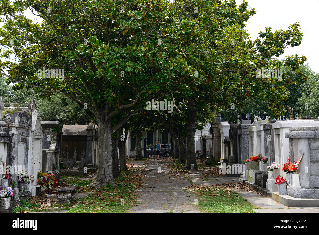 La Fayette aucun cimetière cimetière cimetière 1 morts au-dessus du sol de la nouvelle orléans inhumation crypte catholique tombe tombes cimetière RU USA Banque D'Images