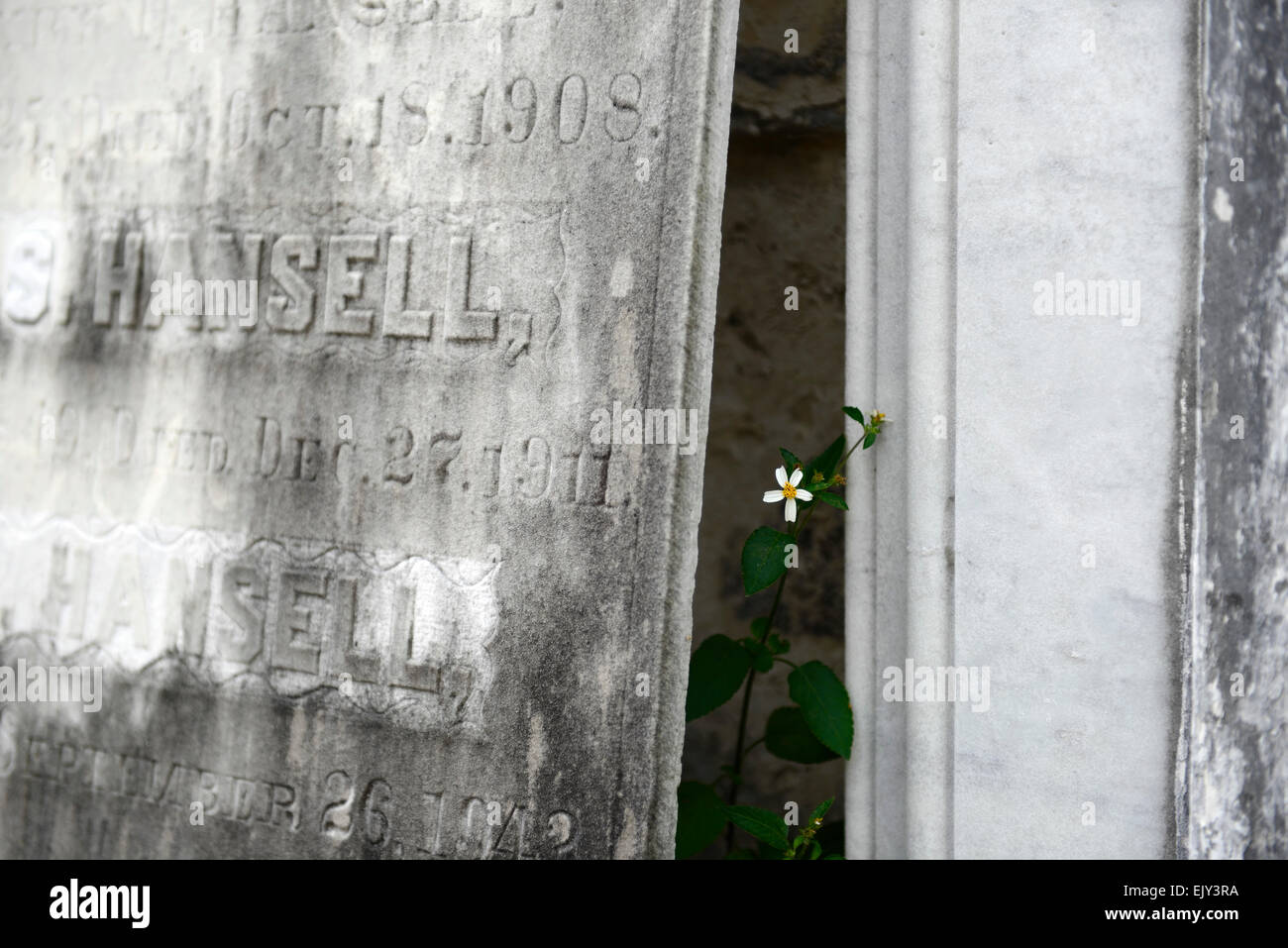 La Fayette aucun cimetière cimetière cimetière 1 morts au-dessus du sol de la nouvelle orléans inhumation crypte catholique tombe tombes cimetière RU USA Banque D'Images