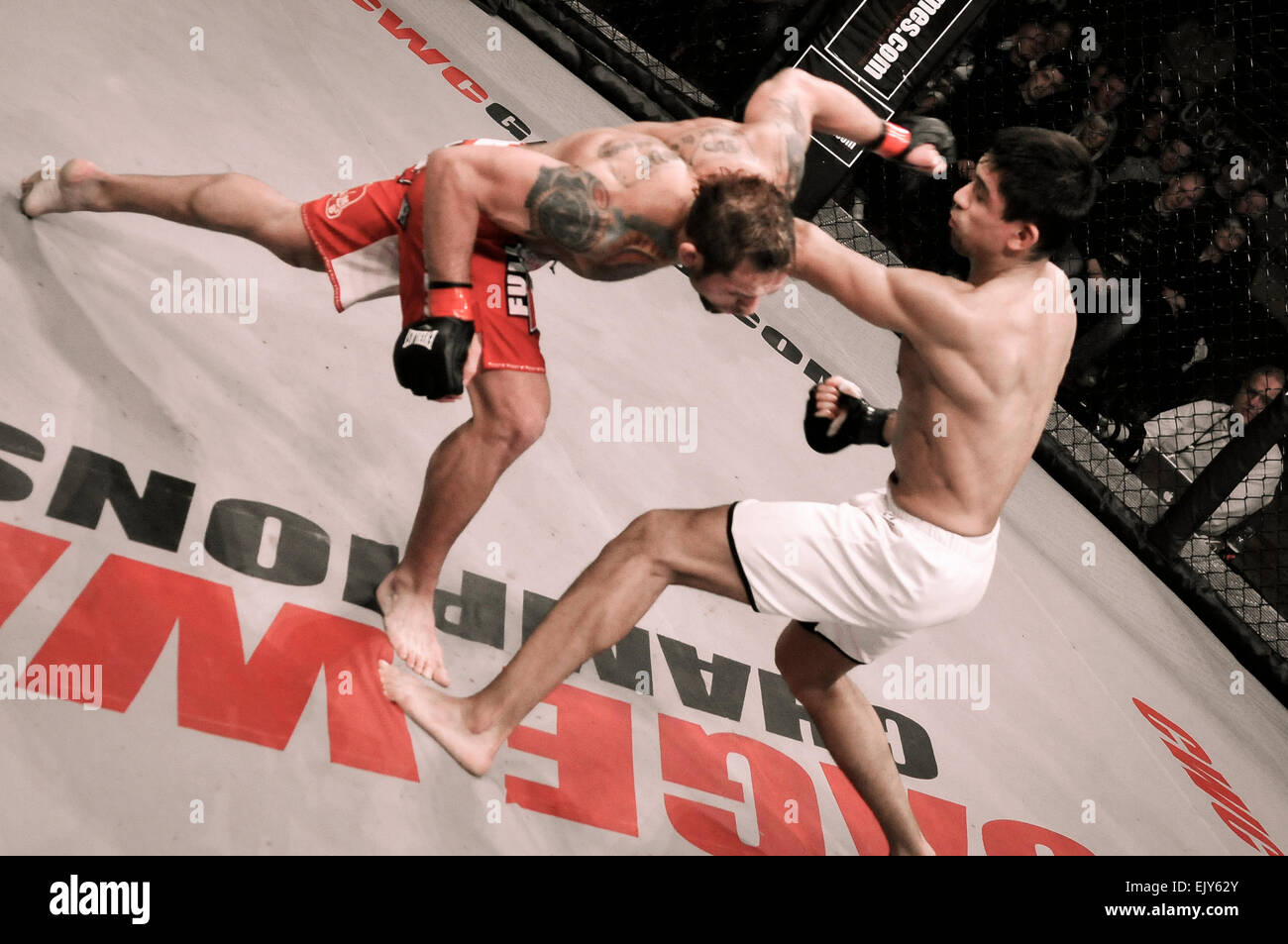 Star MMA UFC Rich Clementi poinçons son adversaire Banque D'Images