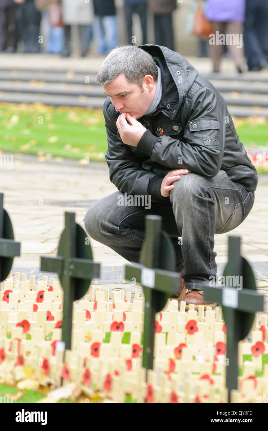 L'homme lit les messages sur croix de bois de coquelicots prévues pour le Jour du Souvenir. Banque D'Images