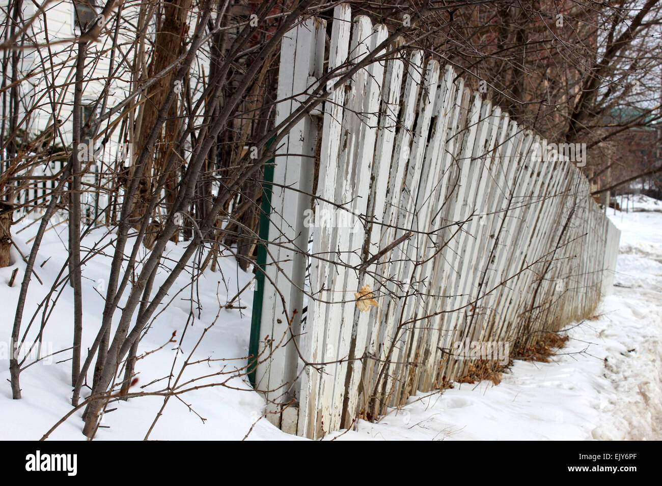 Détail d'une clôture blanche entourée d'arbres dans une maison abandonnée dans l'hiver en Ontario, Canada Banque D'Images