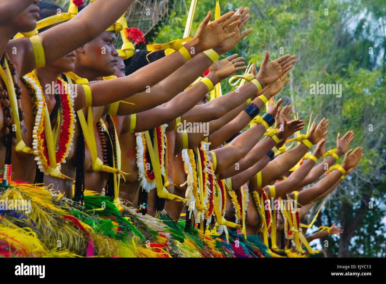 Les femmes en costume traditionnel de Yap chantant et dansant à Yap Day Festival, l'île de Yap (États fédérés de Micronésie Banque D'Images