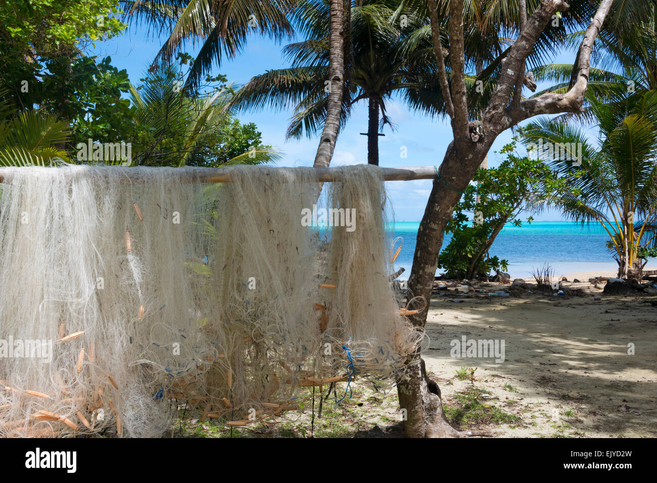 Net le séchage du poisson sur la plage, l'île de Yap (États fédérés de Micronésie Banque D'Images