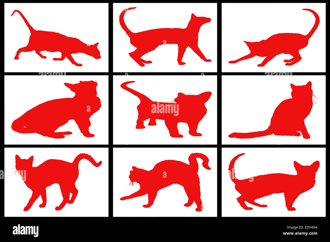 Collection de chats rouge sur fond blanc Banque D'Images