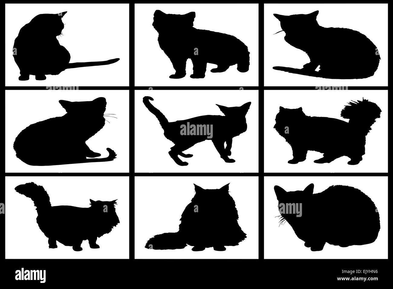 Collection de chats noirs sur fond blanc Banque D'Images