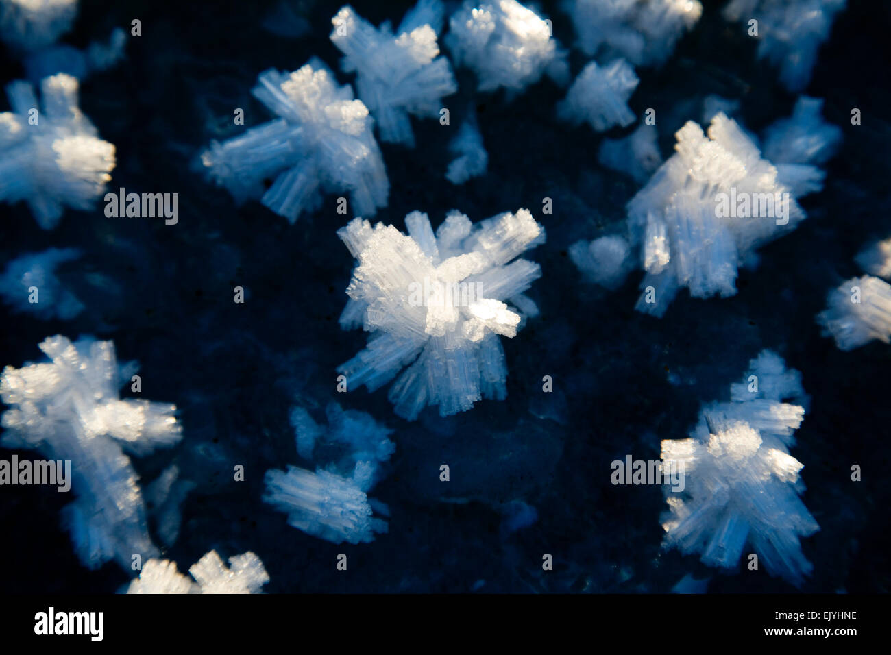 Givre après une nuit humide et froide Banque D'Images