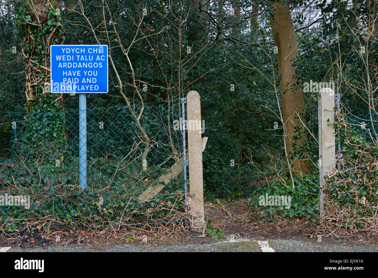 Parking Sign in demander aux automobilistes s'ils ont payés et affiché, UK Banque D'Images