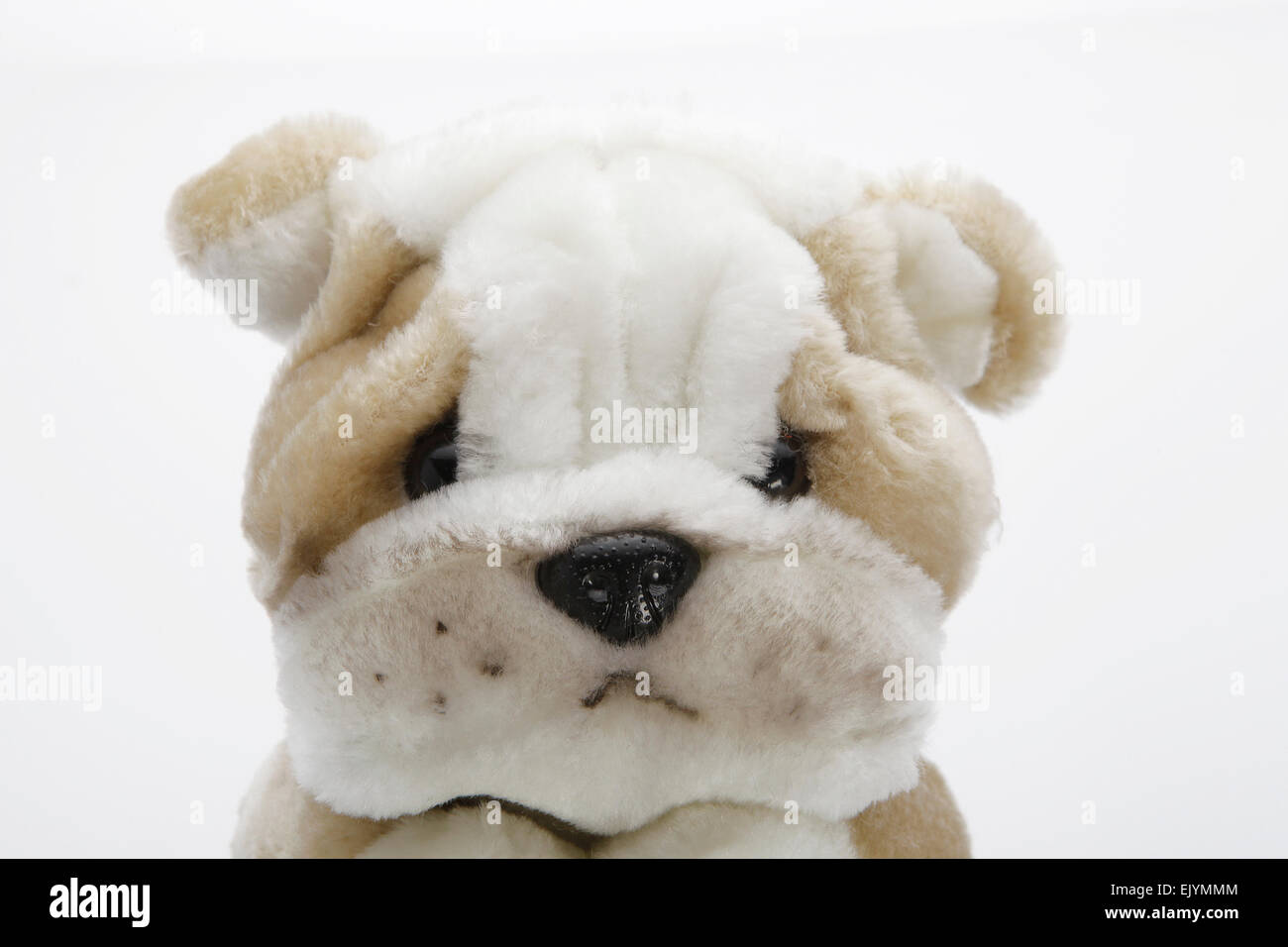 Un mignon petit ours en peluche bulldog, faits de coton, pour les enfants, Banque D'Images
