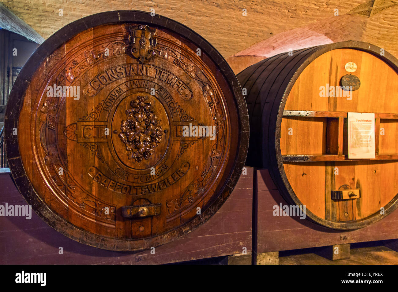 Cuves de vieux vin dans la cave de l'ancien hôpital, Strasbourg, France Banque D'Images