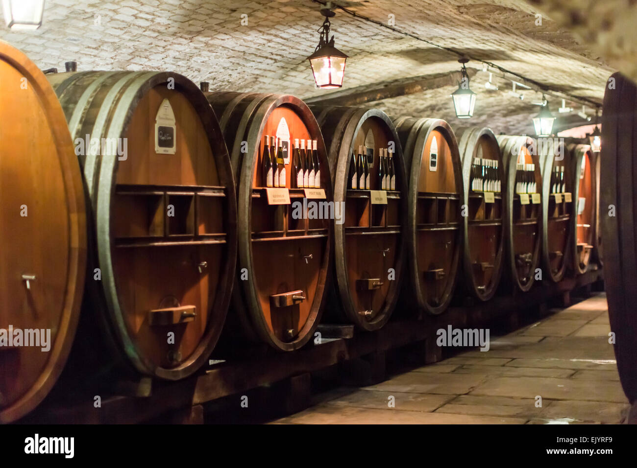 Cuves de vieux vin dans la cave de l'ancien hôpital, Strasbourg, France Banque D'Images