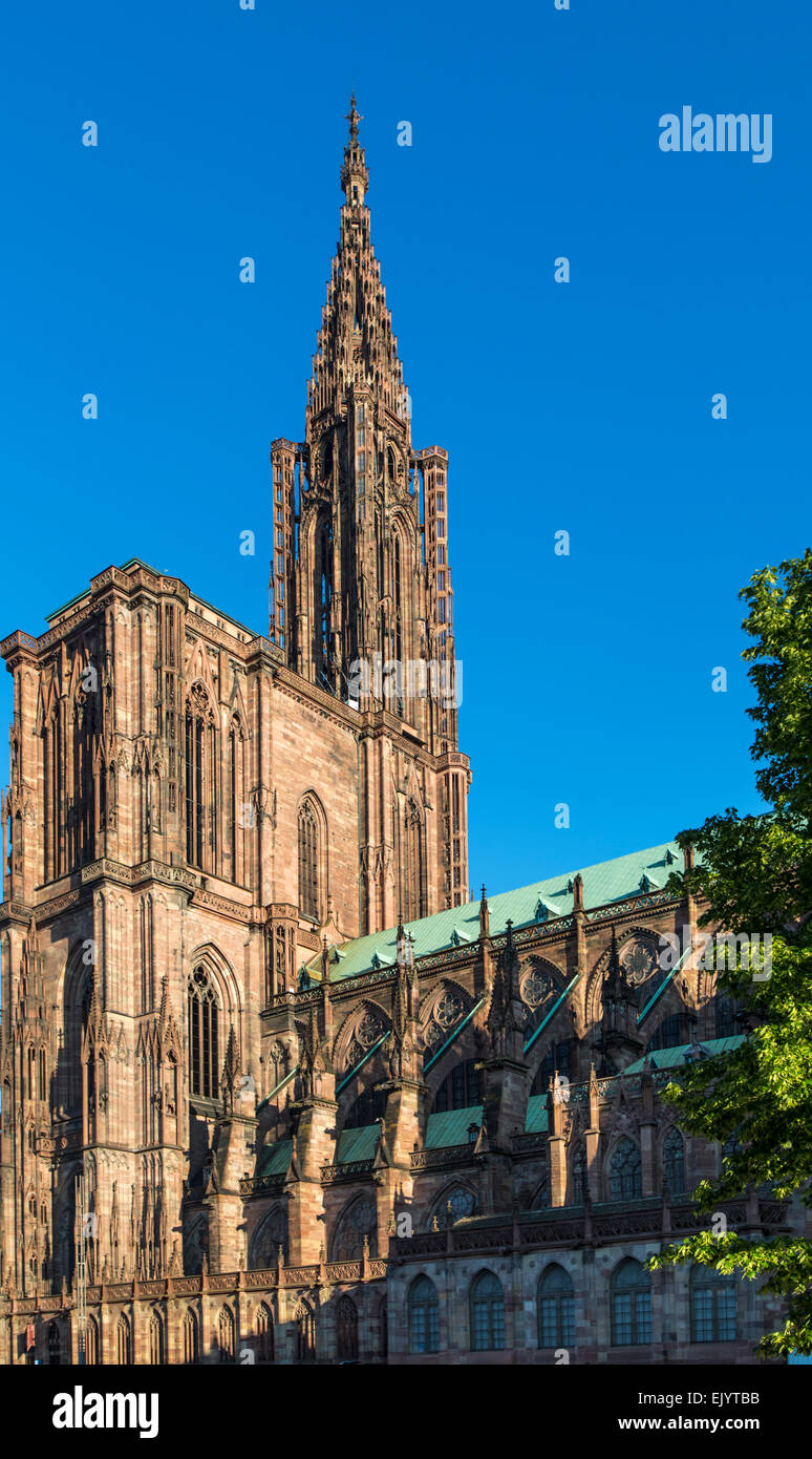 L'extérieur de Notre Dame de la cathédrale de Strasbourg, France Banque D'Images