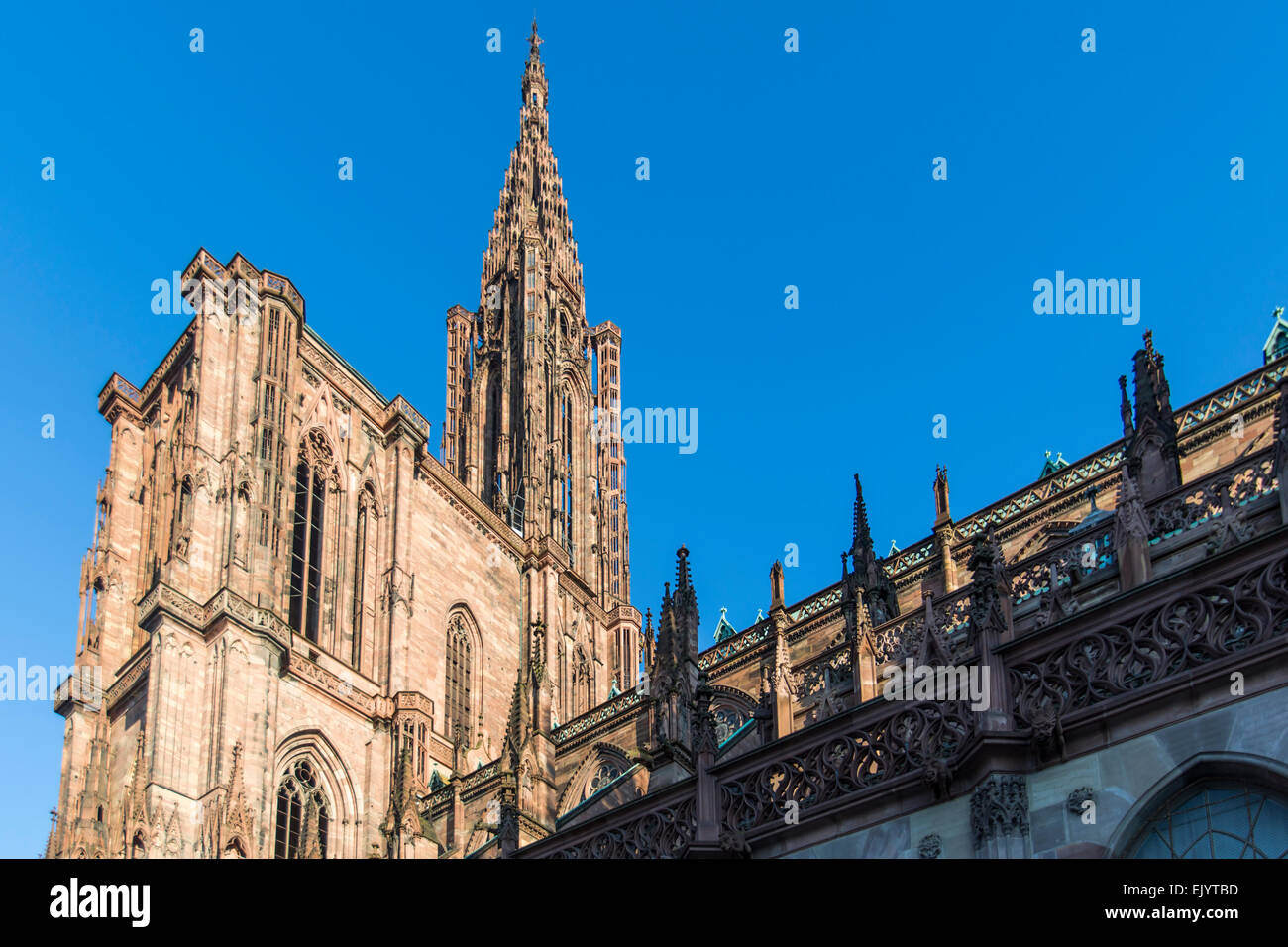 L'extérieur de Notre Dame de la cathédrale de Strasbourg, France Banque D'Images