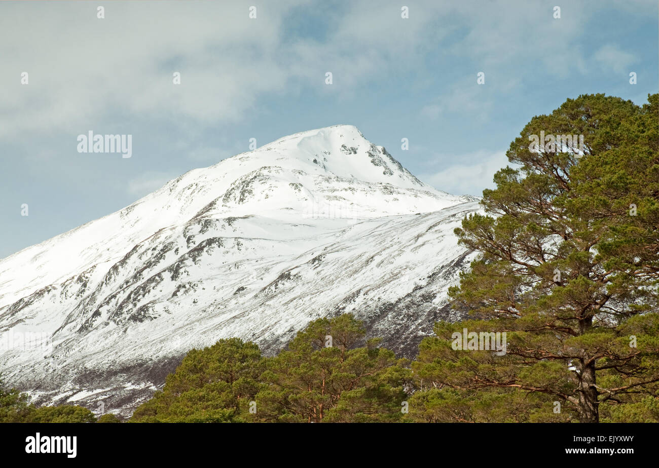 Sgurr na Lapaich à Glen Affric Banque D'Images