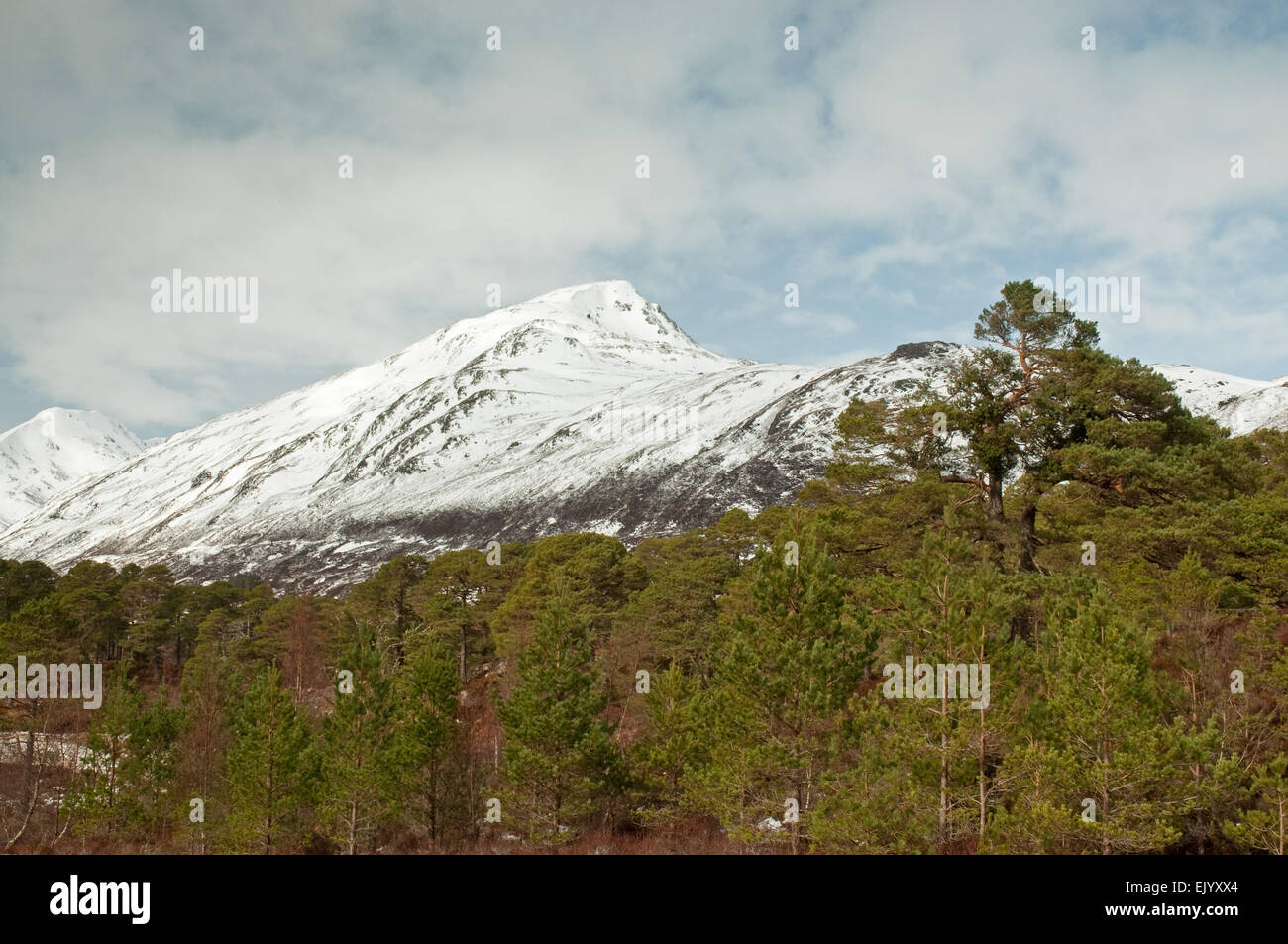 Sgurr na Lapaich à Glen Affric Banque D'Images