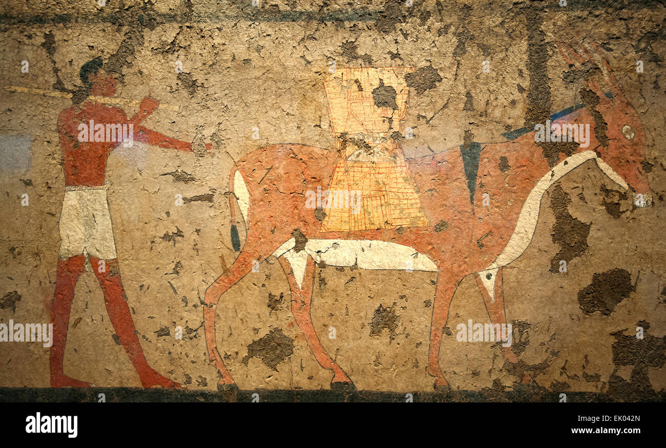 Italie Piémont Turin Musée Égyptien nouveau staging - tombe de l'IKI e Neferu 2118-1980 ( BC ) - Les Ânes un homme mène un âne qui porte sur son dos deux paniers attachés ensemble ; l'une sur le côté gauche est inversé dans l'avion afin de le rendre visible, comme prescrit par les conventions de l'art égyptien Banque D'Images