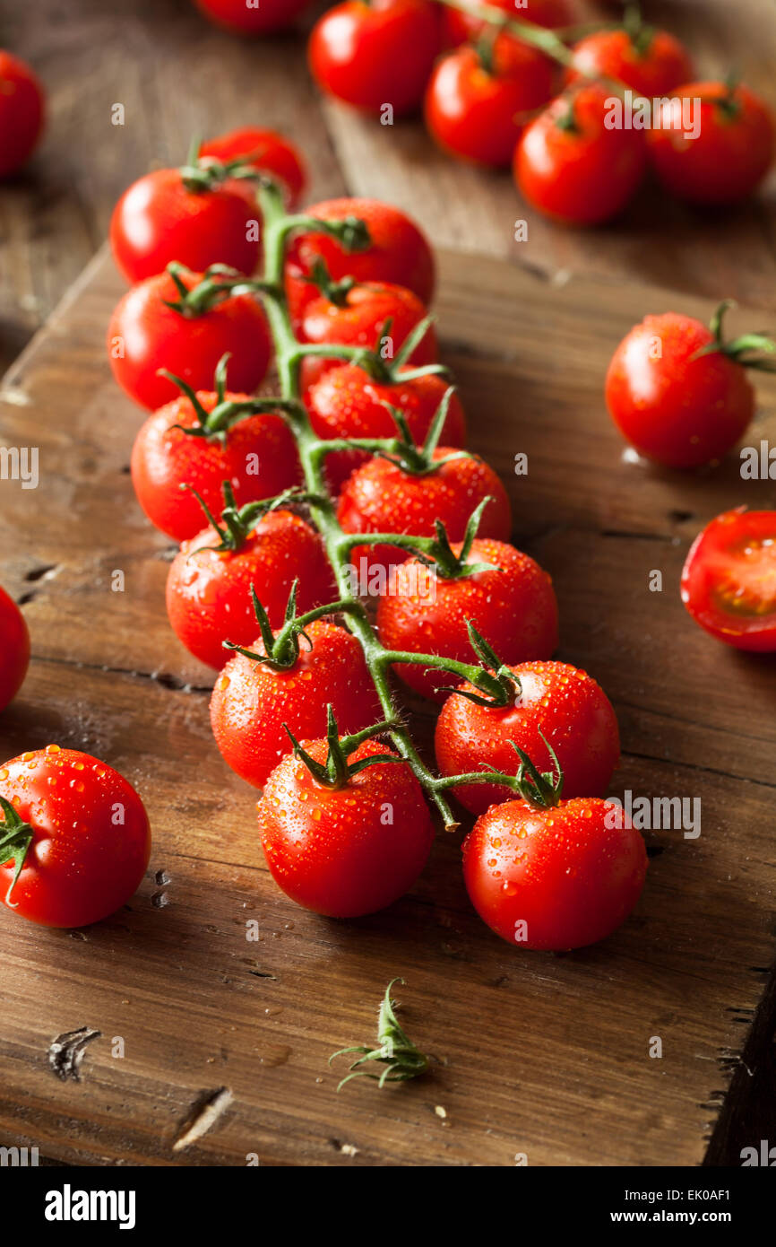 Tomates cerises rouges biologiques crus sur la vigne Banque D'Images