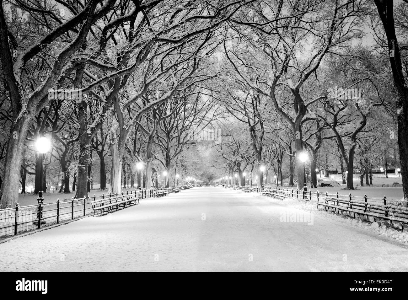 Le Mall, Central Park, NYC, lors d'une tempête de neige, tôt le matin. Banque D'Images