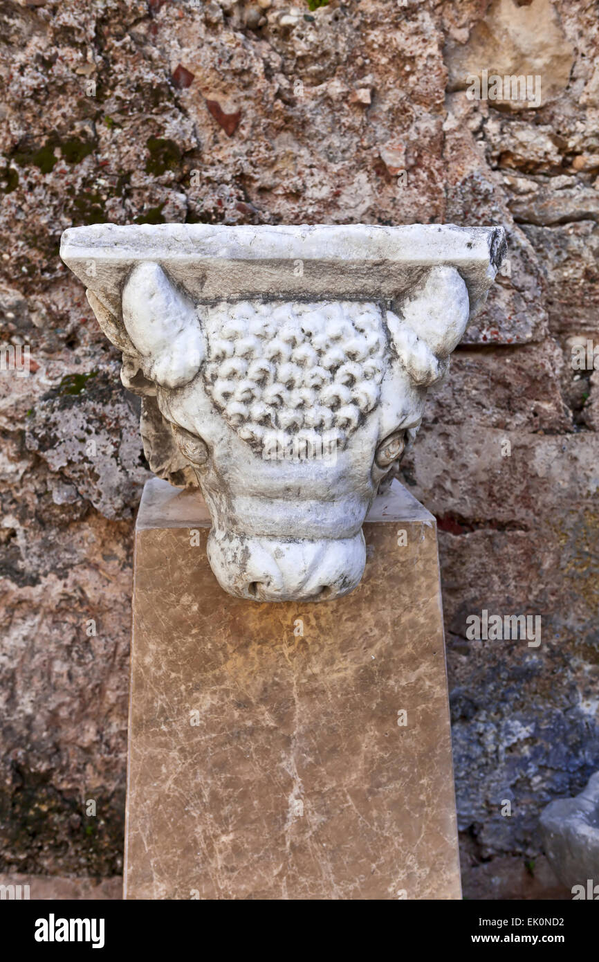 Tête du taureau - détail d'une ancienne sculpture romaine. Banque D'Images