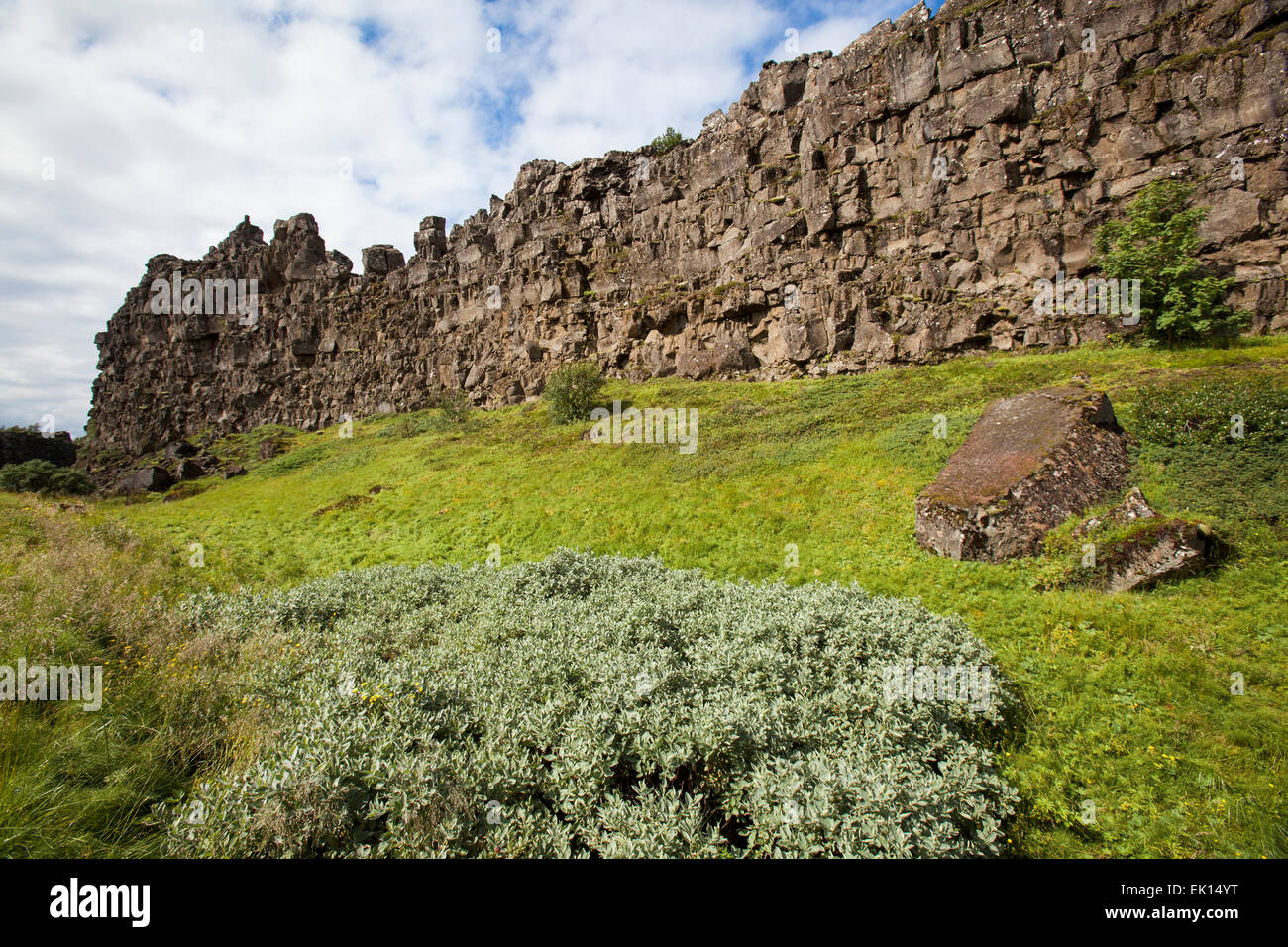 Falaise de roche de lave formations dans le Parc National de Thingvellir Islande Banque D'Images