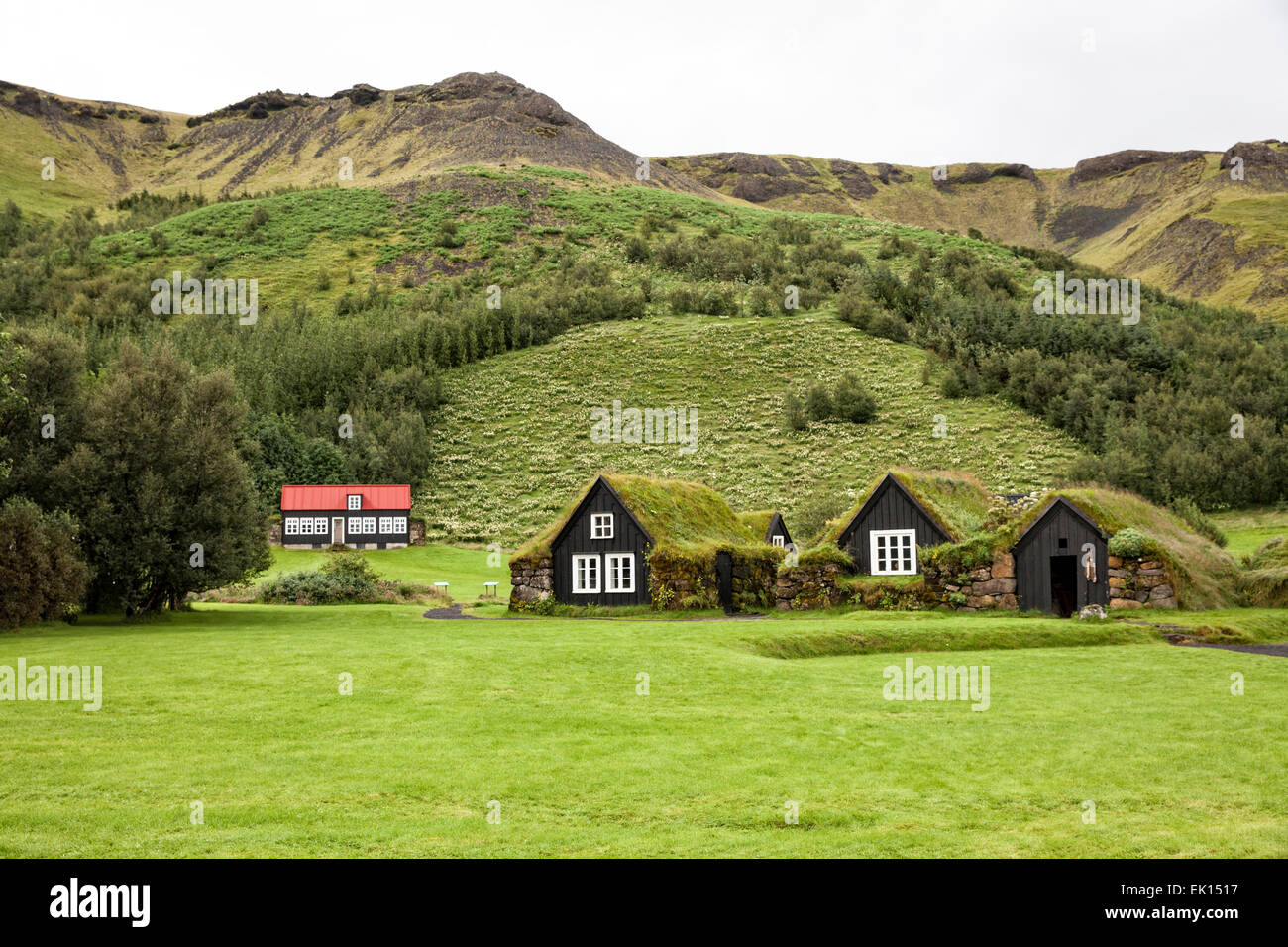 Avis sur le gazon des bâtiments de ferme dans la région de South Musée Skógar Islande Banque D'Images