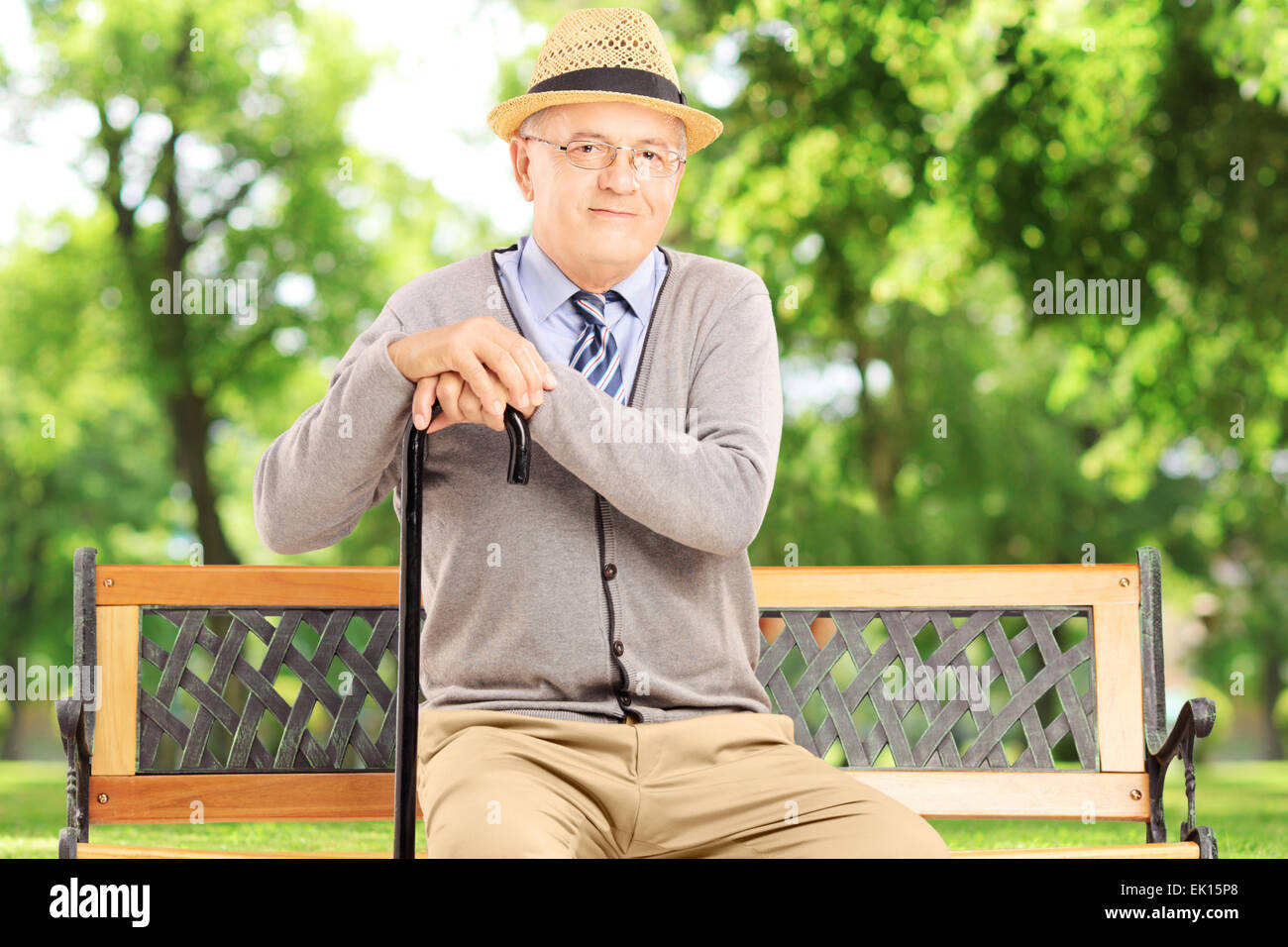 Canne Senior assis sur un banc en bois et looking at camera Banque D'Images