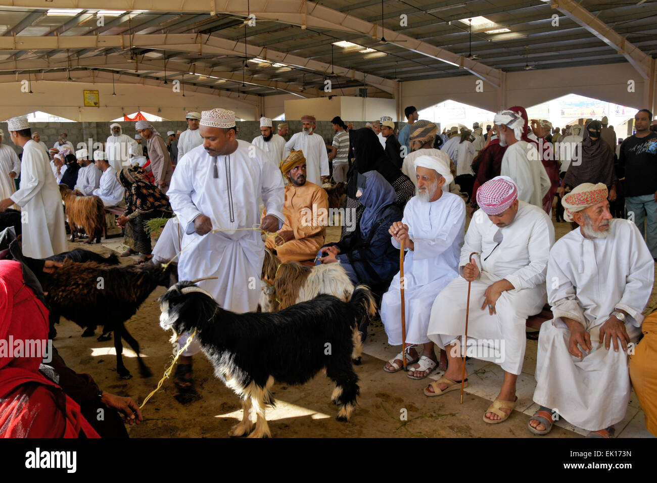 Bedu (bédouins) personnes l'achat et la vente de chèvres à Sinaw en marché des animaux, de l'Oman Banque D'Images