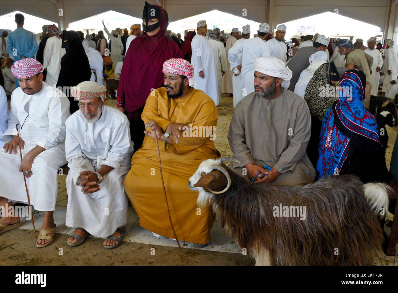 Bedu (bédouins) personnes l'achat et la vente de chèvres à Sinaw en marché des animaux, de l'Oman Banque D'Images